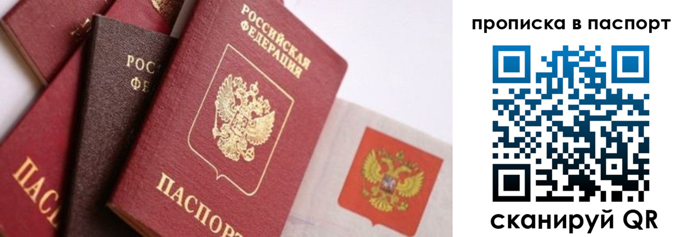 прописка штамп в Долгопрудном